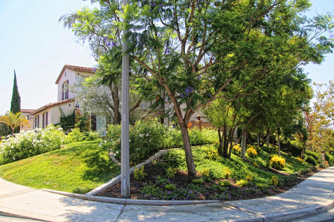 Work Image